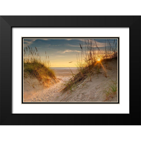 Coastal Dunes Black Modern Wood Framed Art Print with Double Matting by Amos, Andy