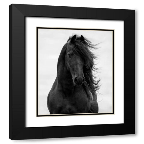 Majestic Dark Horse Black Modern Wood Framed Art Print with Double Matting by Walker, Carol