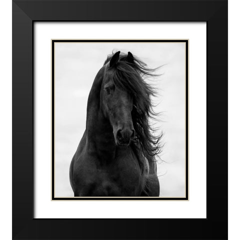 Majestic Dark Horse Black Modern Wood Framed Art Print with Double Matting by Walker, Carol