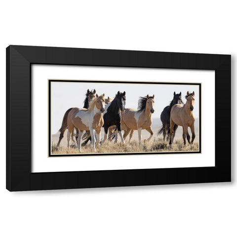 Horses in the Wild Black Modern Wood Framed Art Print with Double Matting by Walker, Carol