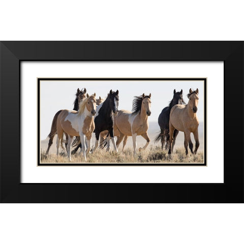 Horses in the Wild Black Modern Wood Framed Art Print with Double Matting by Walker, Carol