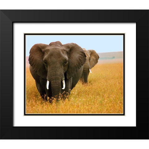Elephant Plains Black Modern Wood Framed Art Print with Double Matting by Mansfield, Kathy