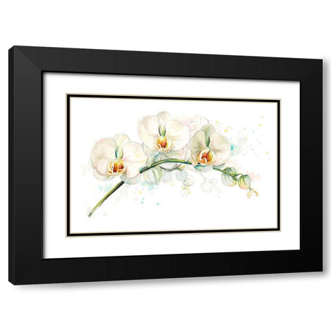 White Orchids Black Modern Wood Framed Art Print with Double Matting by Pinto, Patricia
