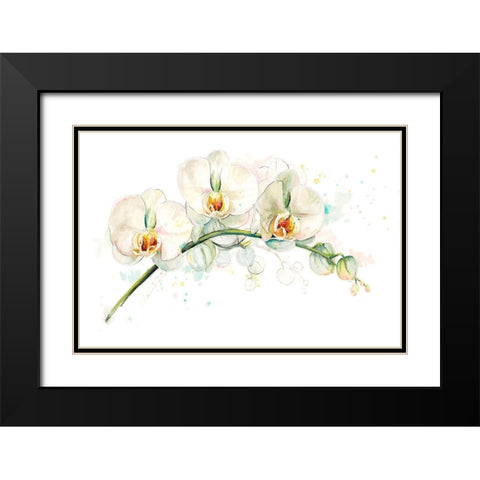 White Orchids Black Modern Wood Framed Art Print with Double Matting by Pinto, Patricia