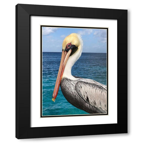Pelican Black Modern Wood Framed Art Print with Double Matting by DeRice, Julie