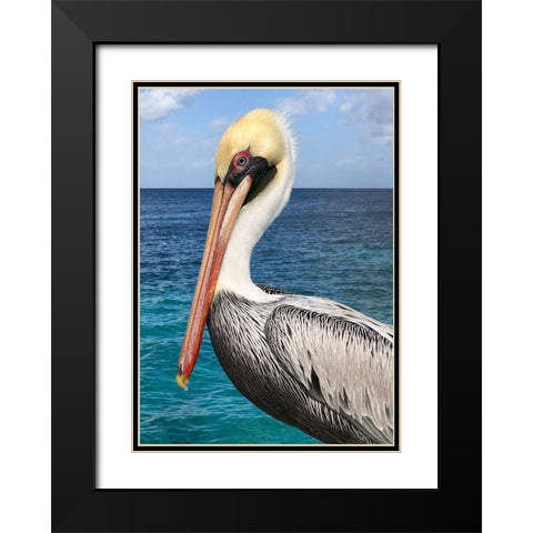 Pelican Black Modern Wood Framed Art Print with Double Matting by DeRice, Julie