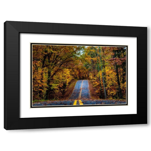Woodland Road I Black Modern Wood Framed Art Print with Double Matting by Amos, Andy