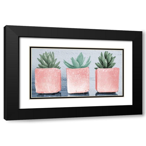 Pink Potted Succulents Black Modern Wood Framed Art Print with Double Matting by Bill Carson Photography