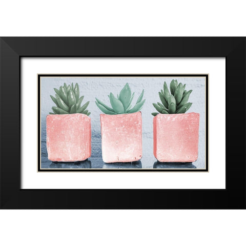 Pink Potted Succulents Black Modern Wood Framed Art Print with Double Matting by Bill Carson Photography