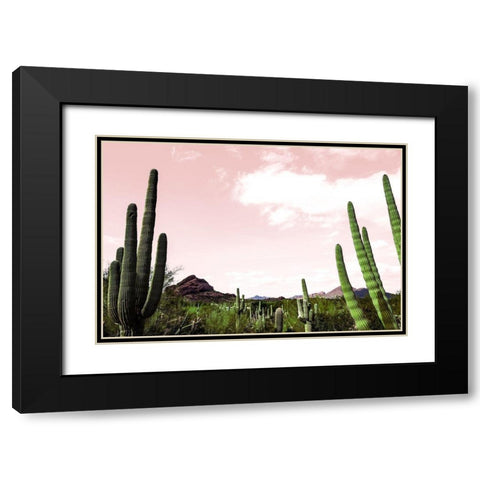 Cactus Landscape Under Pink Sky Black Modern Wood Framed Art Print with Double Matting by Bill Carson Photography