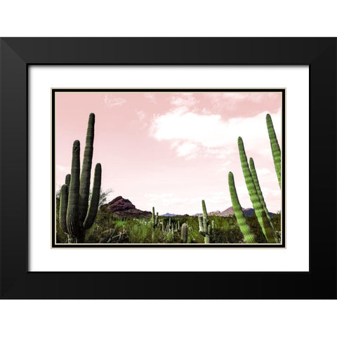 Cactus Landscape Under Pink Sky Black Modern Wood Framed Art Print with Double Matting by Bill Carson Photography