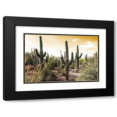 Cactus Field Under Golden Skies Black Modern Wood Framed Art Print with Double Matting by Bill Carson Photography