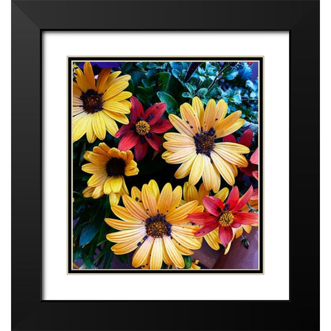 Colorful Bunch Black Modern Wood Framed Art Print with Double Matting by Coppel, Anna