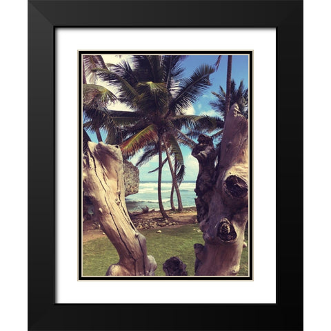 Oceanside Palms Black Modern Wood Framed Art Print with Double Matting by Coppel, Anna