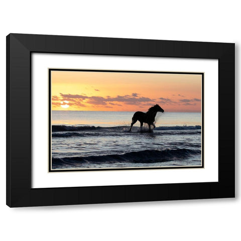 Sunset Horse on the Beach Black Modern Wood Framed Art Print with Double Matting by Walker, Carol