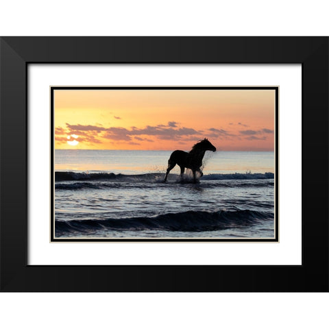Sunset Horse on the Beach Black Modern Wood Framed Art Print with Double Matting by Walker, Carol