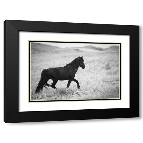 Black Pony Black Modern Wood Framed Art Print with Double Matting by Walker, Carol