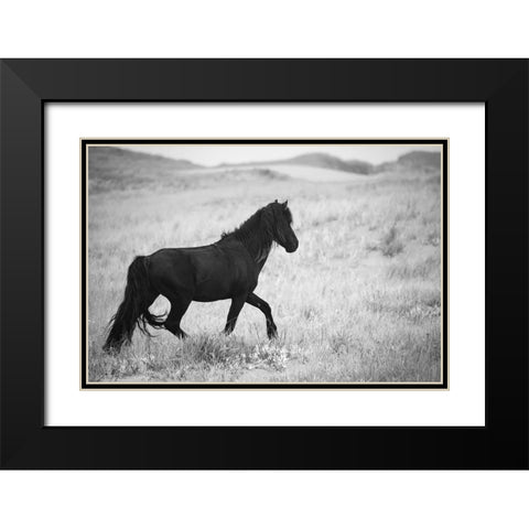 Black Pony Black Modern Wood Framed Art Print with Double Matting by Walker, Carol
