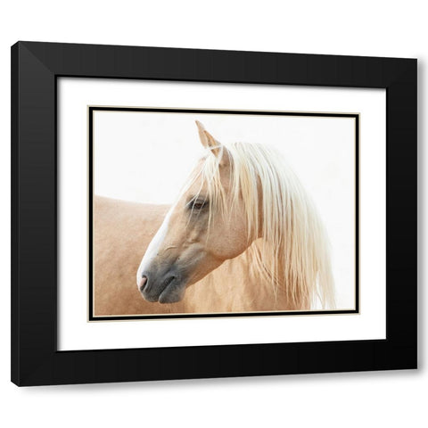 Gazing Palomino Black Modern Wood Framed Art Print with Double Matting by Walker, Carol