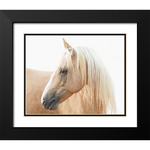 Gazing Palomino Black Modern Wood Framed Art Print with Double Matting by Walker, Carol