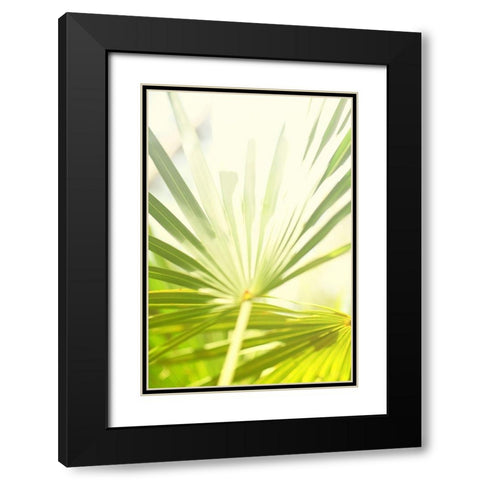 Among Palms I Black Modern Wood Framed Art Print with Double Matting by Bryant, Susan