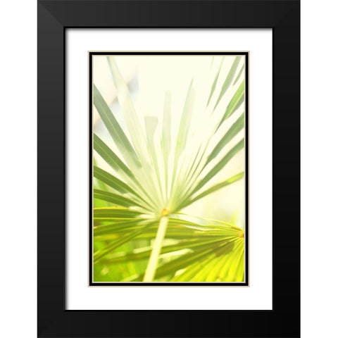 Among Palms I Black Modern Wood Framed Art Print with Double Matting by Bryant, Susan