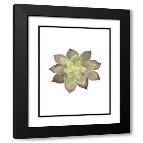 Succulent I Black Modern Wood Framed Art Print with Double Matting by Loreth, Lanie