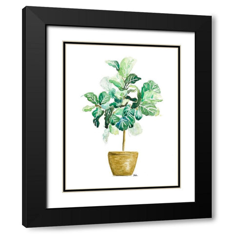 Fig Plant Black Modern Wood Framed Art Print with Double Matting by Pinto, Patricia
