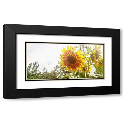 Summer Sunflower I Black Modern Wood Framed Art Print with Double Matting by Wilson, Kali