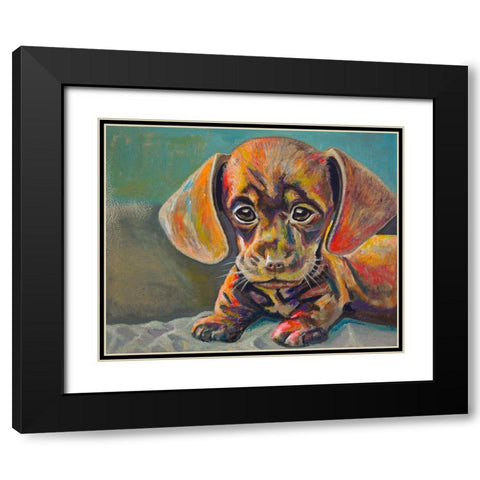 Puppy Face Black Modern Wood Framed Art Print with Double Matting by Beauchamp, Andy