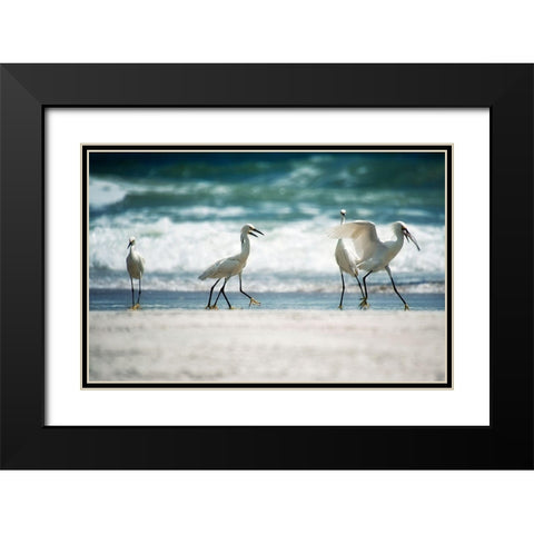 Egret Walk Black Modern Wood Framed Art Print with Double Matting by Nawrocke, Bruce