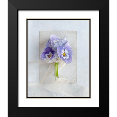 A Little Beauty Black Modern Wood Framed Art Print with Double Matting by Gardner, Sarah