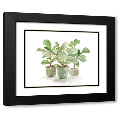 Fiddle Fig Trio Black Modern Wood Framed Art Print with Double Matting by Loreth, Lanie