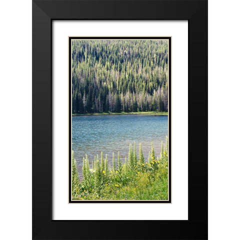 Hidden Lake Black Modern Wood Framed Art Print with Double Matting by Coppel, Anna