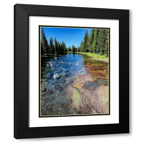 Peaceful Stream Black Modern Wood Framed Art Print with Double Matting by Coppel, Anna