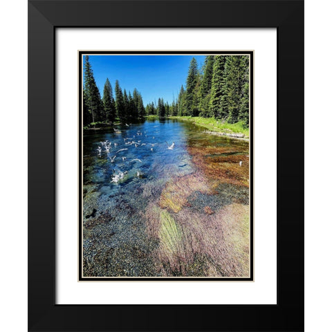 Peaceful Stream Black Modern Wood Framed Art Print with Double Matting by Coppel, Anna