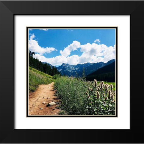 Lovely Path Black Modern Wood Framed Art Print with Double Matting by Coppel, Anna