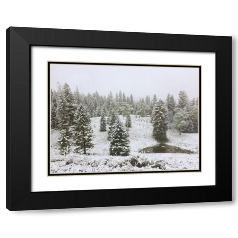 Dusting of Snow Black Modern Wood Framed Art Print with Double Matting by Coppel, Anna