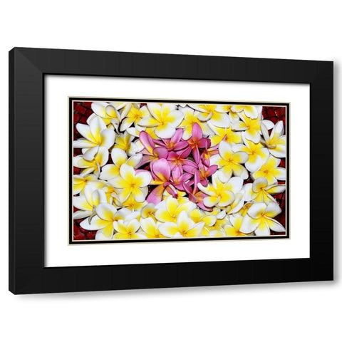 Floating Petals Black Modern Wood Framed Art Print with Double Matting by Coppel, Anna