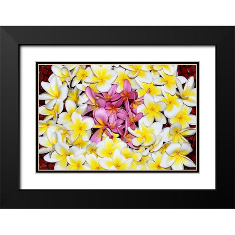 Floating Petals Black Modern Wood Framed Art Print with Double Matting by Coppel, Anna