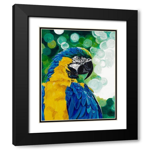 Brilliant Parrot Black Modern Wood Framed Art Print with Double Matting by Goodrich, Chelsea