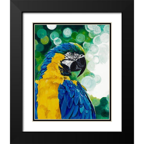 Brilliant Parrot Black Modern Wood Framed Art Print with Double Matting by Goodrich, Chelsea