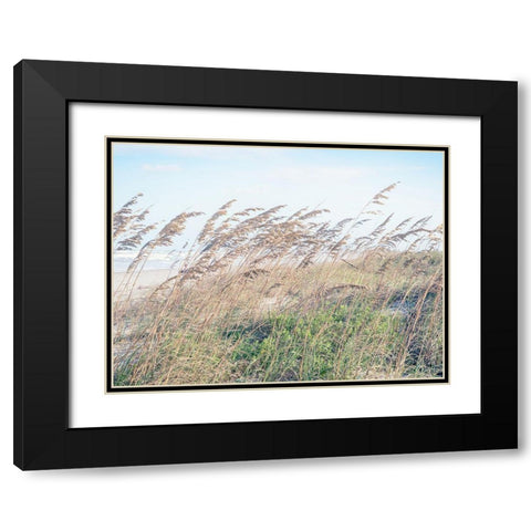 Eastern Beach Grass I Black Modern Wood Framed Art Print with Double Matting by Bonnett, Stede