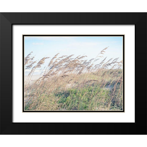 Eastern Beach Grass I Black Modern Wood Framed Art Print with Double Matting by Bonnett, Stede