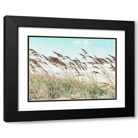 Eastern Beach Grass II Black Modern Wood Framed Art Print with Double Matting by Bonnett, Stede
