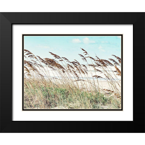 Eastern Beach Grass II Black Modern Wood Framed Art Print with Double Matting by Bonnett, Stede