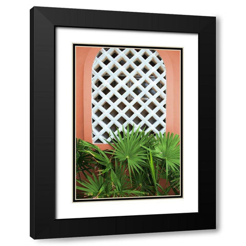 Mexican Fan Palms Black Modern Wood Framed Art Print with Double Matting by Wilson, Kali