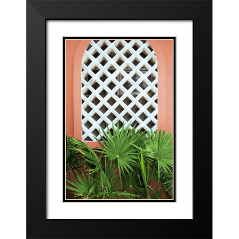 Mexican Fan Palms Black Modern Wood Framed Art Print with Double Matting by Wilson, Kali