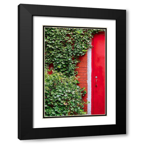 Red Garden Door Black Modern Wood Framed Art Print with Double Matting by Bill Carson Photography