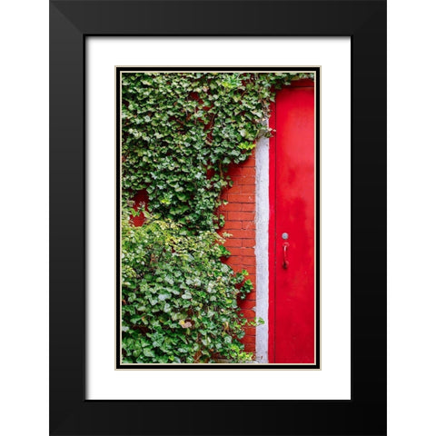 Red Garden Door Black Modern Wood Framed Art Print with Double Matting by Bill Carson Photography